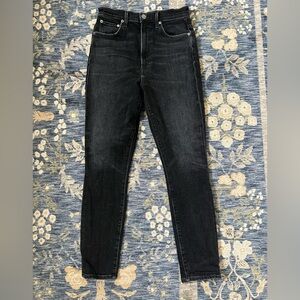 AGOLDE Pinch Waist Skinny Jean